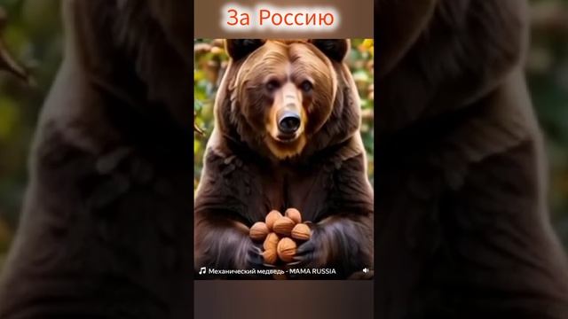 ЗА РОССИЮ 🎀