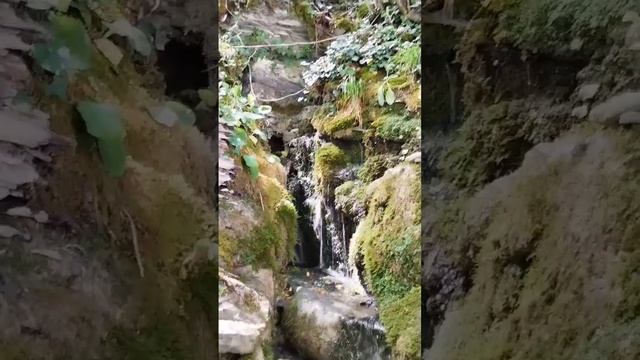 Живая вода, Геленджик