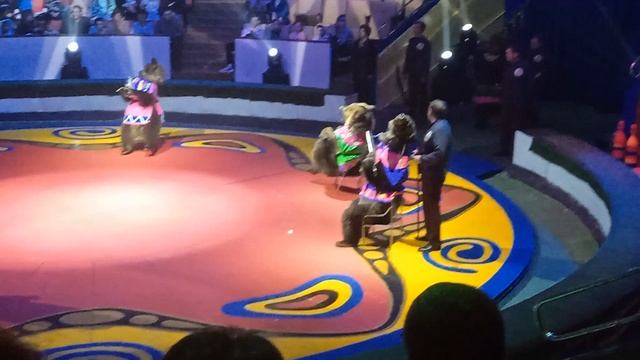 Дрессированные мишки играют и поют