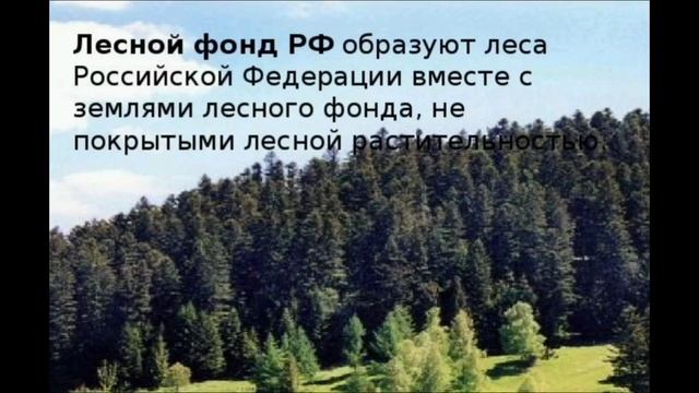 Земли лесного фонда
