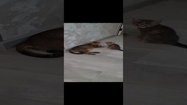 1000043482.mp4