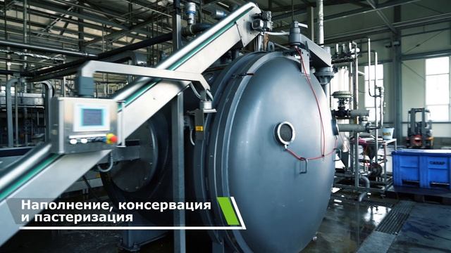 Презентационное видео для "Desan" (Кукуруза) | by Indao
