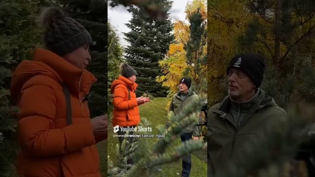 Про высоту растений с Андреем Дарусенковым
