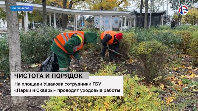 Сотрудники ГБУ «Парки и Скверы» убрали сквер на площади Ушакова (Дежурный по городу. 26 ноября 2024)