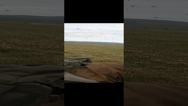 Сезон 15 серия 41 Живое облако