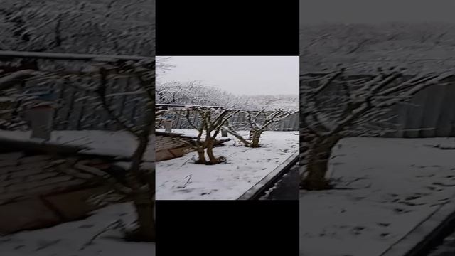 1000014409.mp4