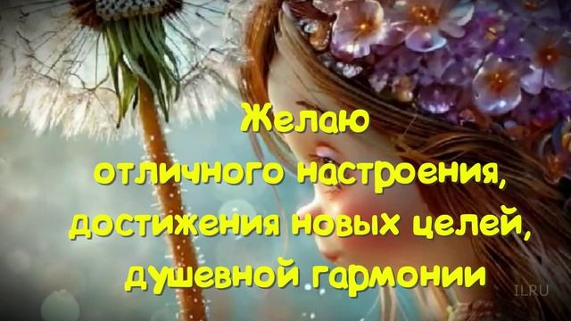 Добрый День - Пусть день принесет радость, а настроение – восторг