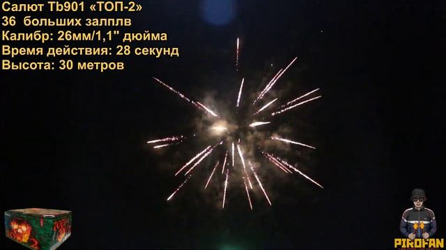 Салют, фейерверк Tkb901 ТОП-2 36 больших веерных залпов   26мм/1,05" дюйма
