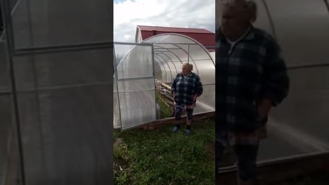 РЕШИЛИСЬ НА ТЕПЛИЦУ. НАДОЕЛИ ПЛЁНКИ. ОТЗЫВ
