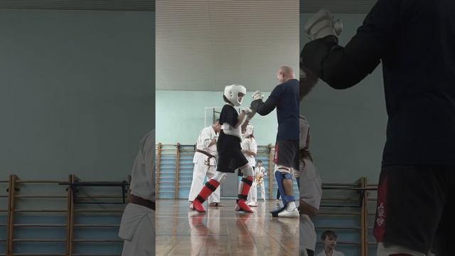 Кёкусинкай #372 / Центр Поларбудо / Учебные поединки с разбором / Кумитэ (20.11.24)