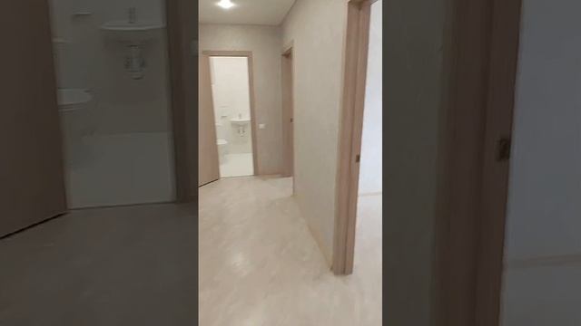 WhatsApp Video 2024-11-26 at 15.53.30