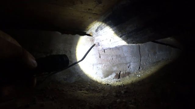 Что скрывал подвал. Изучаем новый дом. Прикидываем фронт работ.