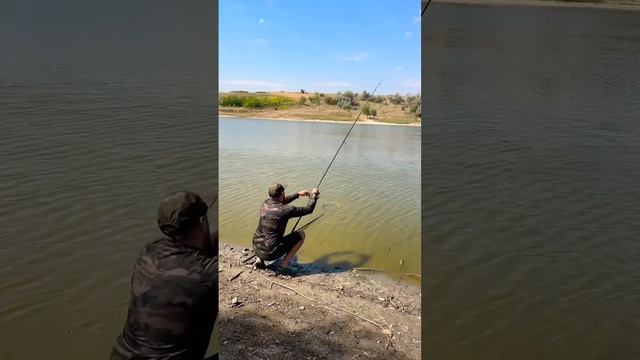 Солидного сазана выловил рыбак👏

Еще бы кресло, и вообще красота была бы😅