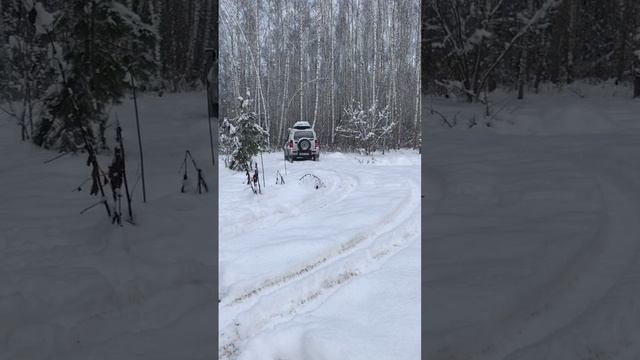 Волчонок в овечьей шкурке. #jimny #forestlife #offroad #overland #snow #ジムニー #winter