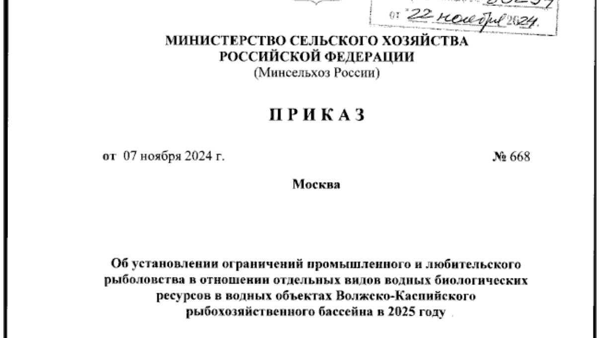 Воблу и плотву  в 2025 году ловить нельзя. Меняем планы! Приказ 668 от 07.11.2024 минсельхоза России