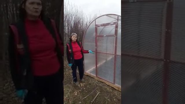 Теплица Перчина 2х3 , сделали скидку, сделали подарок ОТЗЫВ