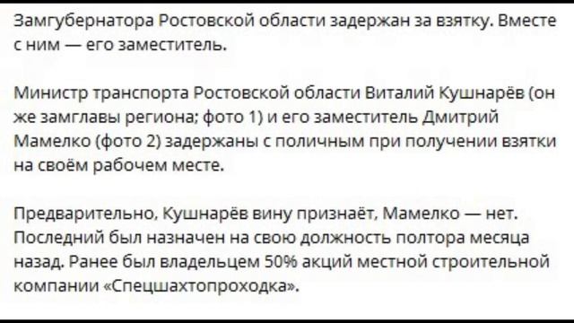 Ростов-Папа_ После пина с поста Голубеву,  посыпалась построенная им голубятня