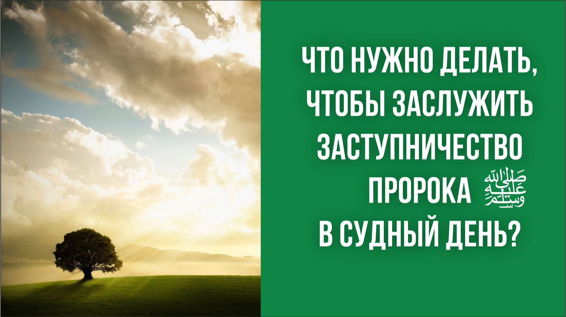 Что нужно делать, чтобы заслужить заступничество Пророка ﷺ в Судный день