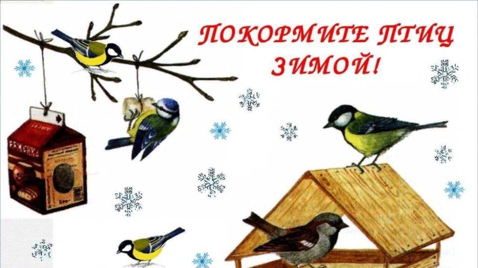 Акция "Покормите птиц зимой"