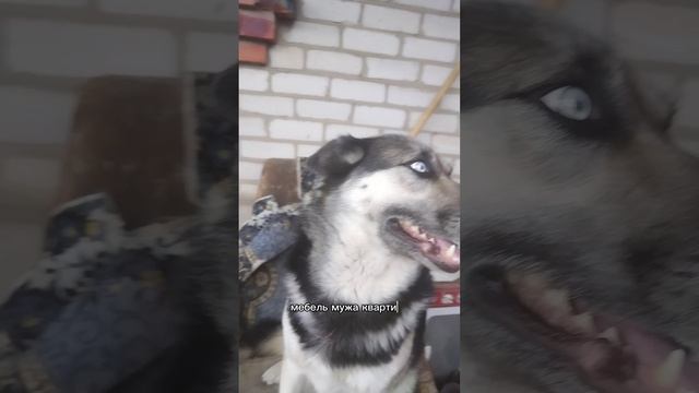 Смысл жизни - менять мужа