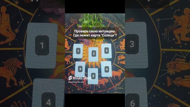 Проверь свою интуицию. Где лежит карта "солнце"? #shorts