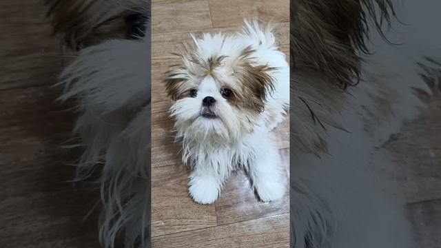 1000007509.mp4