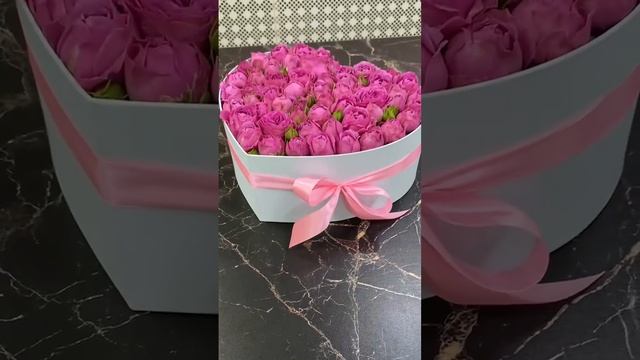 VID_20241122_114123_974.mp4