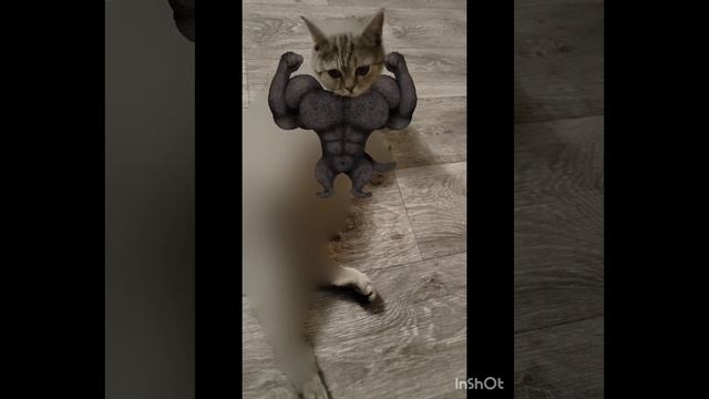 1000051827.mp4