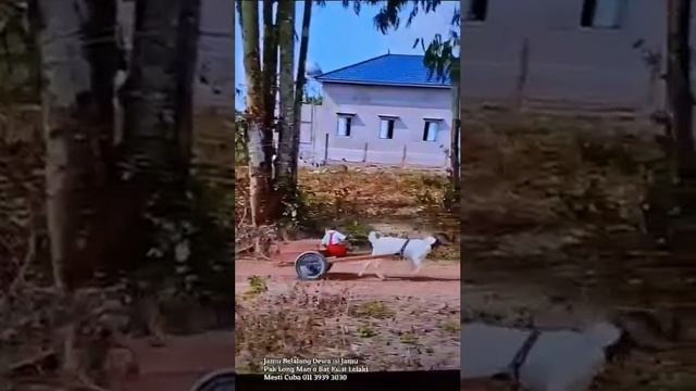 1000045546.mp4