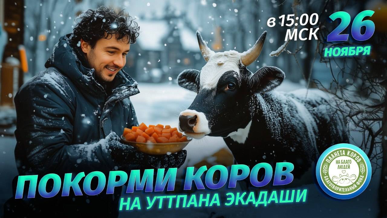 Кормление коров онлайн в день Утпанна Экадаши, «Планета коров», 26.11.2024 г.