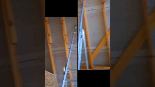 1000008075.mp4 (Собака смотрит на укрепление болтовых соединений стыков стропил дома А-фрейм)