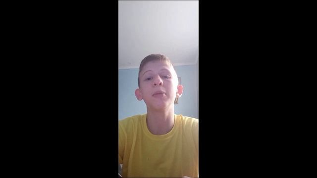 обзор домашнего питомца