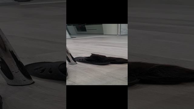 1000043487.mp4