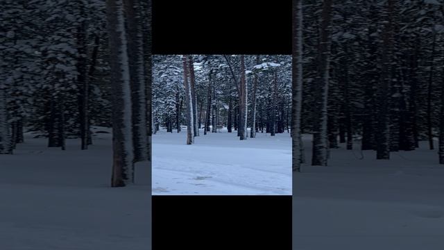 26-11-2024