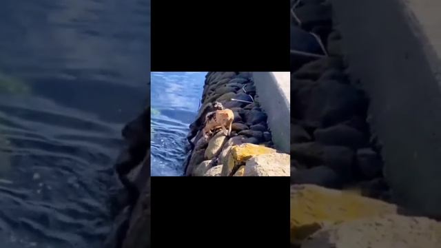 Драка прошла неудачно 🤣