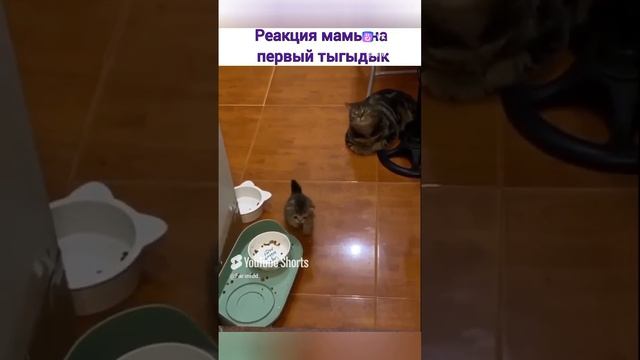 Прикол