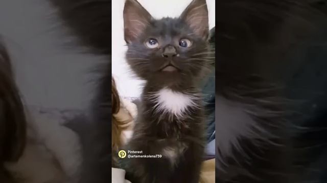 ПЛАНЕРКА ПОНЕДЕЛЬНИК https://t.me/tanta_zer