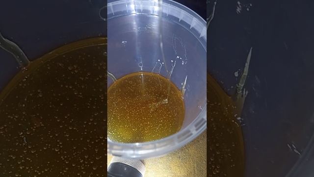 Энергия мëда #пчела #пчелосемья #пасека #мед #мёд #матка #улей #деревня #природа #bee