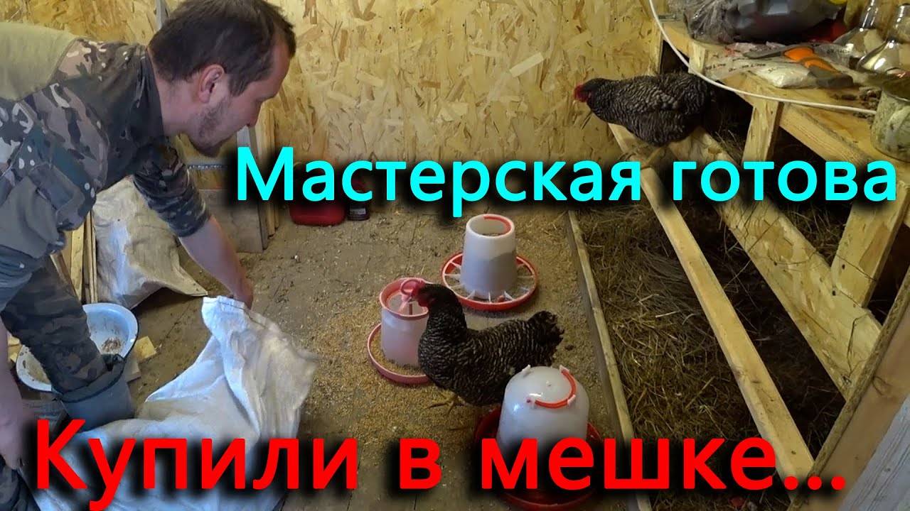 Купили кур в мешке - облажались_ Новые перепела. Снова зарядили инкубатор.