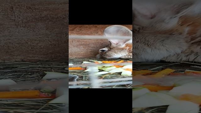 1000003150.mp4