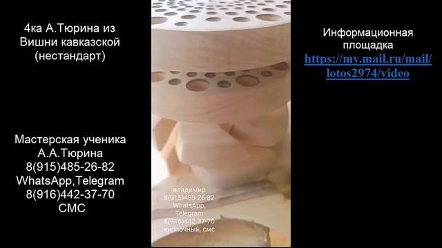 4ка А.Тюрина из Вишни кавказской (не стандарт)