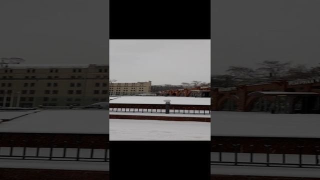 1000018428.mp4Москва.26.11.2024г.