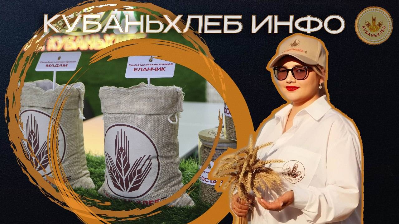 Новости АПК «Кубаньхлеб» 26.11.2024