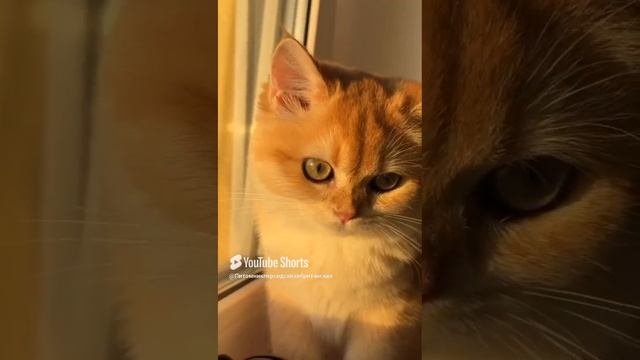 Наша яркая звёздочка Адель. Очень приятно получать привет от наших выпускников💞💞💞