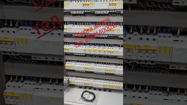 1000127364.mp4