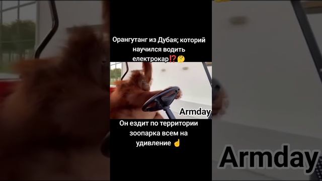 Видео для кнопкодавки Наташки