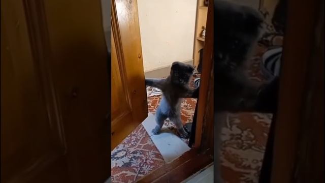 Закрой дверь