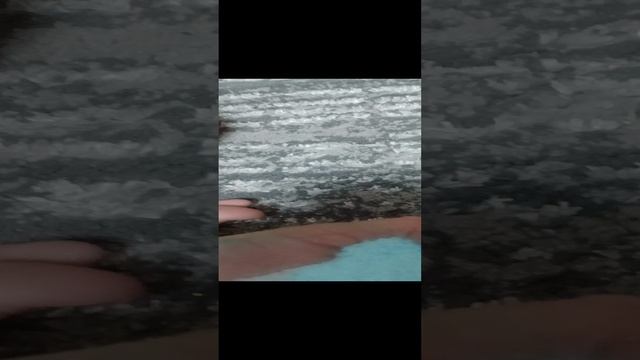тути-фрути