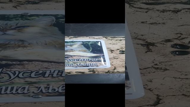 VID_20241126_153953.mp4