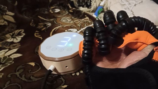 VID_20241121_183715.mp4